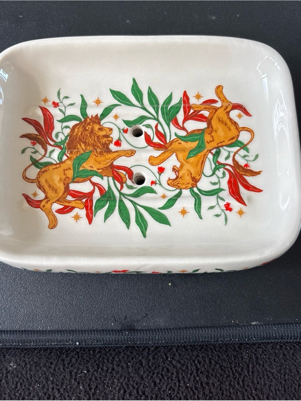 Decorative Ceramic Soap Dish Inspired by Jordan Ifueko’s “Raybearer “